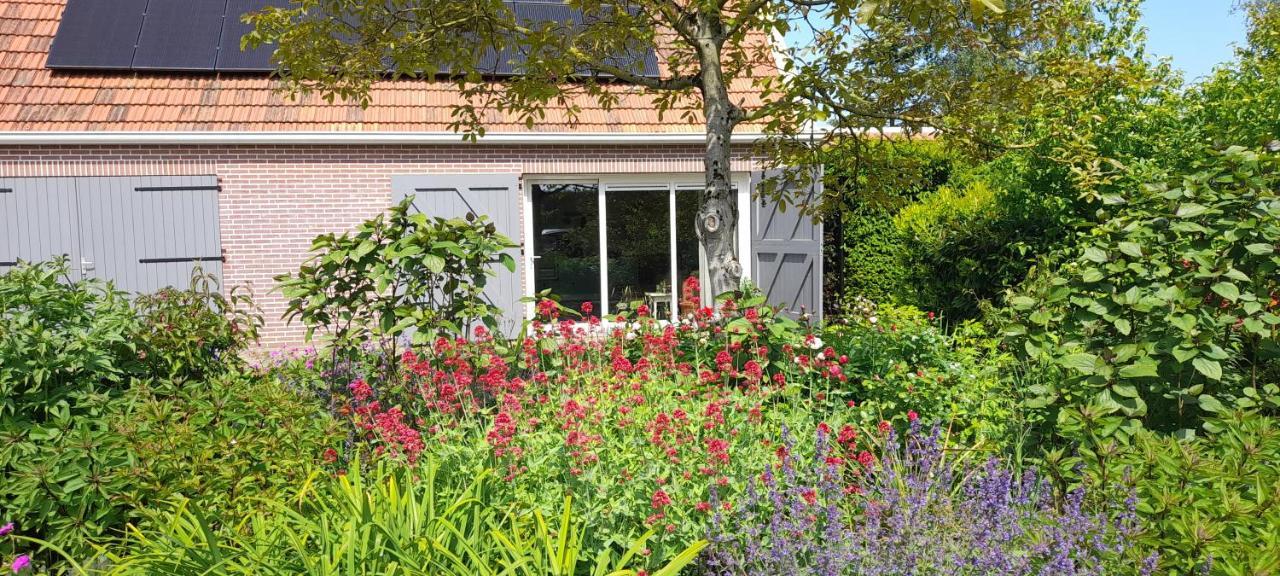 Het Sonnehuys Apartamento Nieuwland  Exterior foto